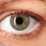 Implante de Retina Poderá Devolver a Visão para Cegos